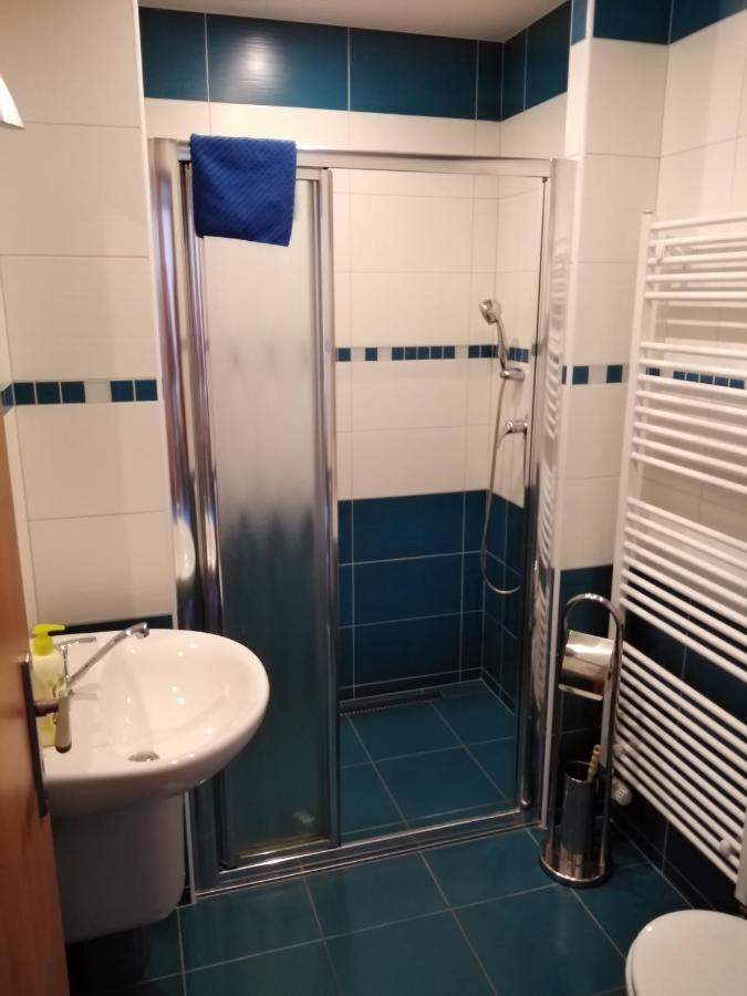 Penzion Iris Krkonose Horni Marsov Luaran gambar