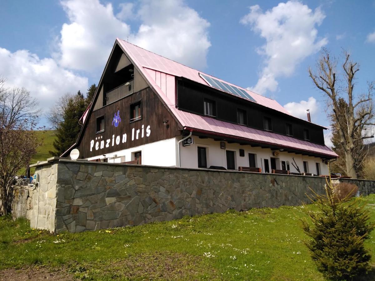 Penzion Iris Krkonose Horni Marsov Luaran gambar